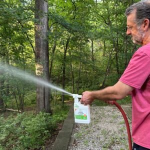 anti-mosquito-outdoor-spray